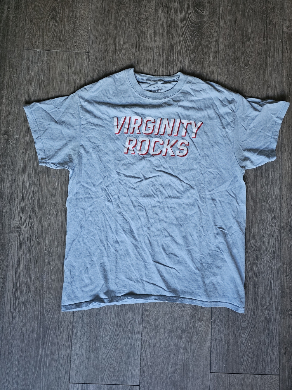 Light Blue Graphic Short-Sleeve Tee with "VIRGINITY ROCKS" Print